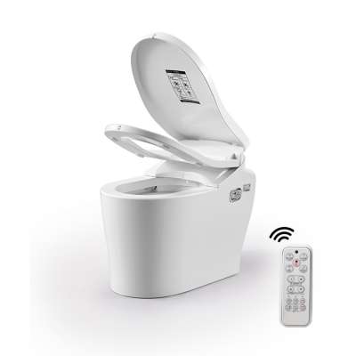 Eminine Wash Power Saving Bidet Wc Intelligent Smart Toilet In White